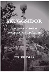Skuggsidor : Dokumentation av ansatser och åtgärder