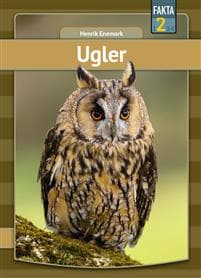 Ugler