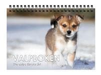 Valpboken : din hunds första år