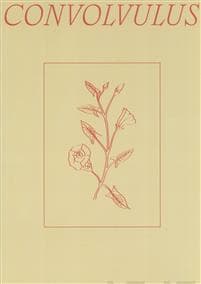 Convolvulus
