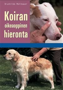 Koiran oikeaoppinen hieronta