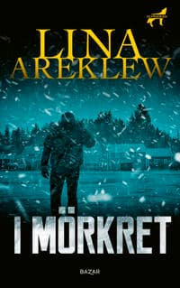 I mörkret