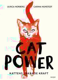 Cat power : kattens läkande kraft