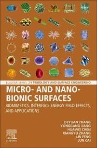 Micro- and Nano-Bionic Surfaces