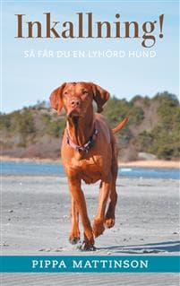 Inkallning! : så får du en lyhörd hund