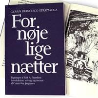 Fornøjelige nætter