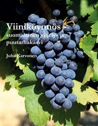 Viiniköynnös - suomalainen viljely- ja puutarhakasvi