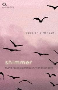 Shimmer