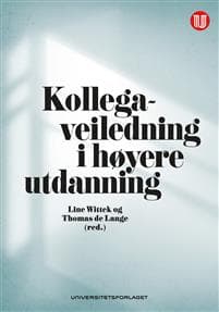 Kollegaveiledning i høyere utdanning