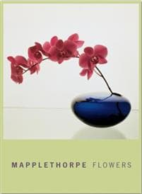 Mapplethorpe Flowers: Notecard Box