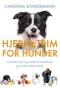 Hjernetrim for hunder; mental trening med morsomme og enkle aktiviteter