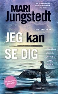 Jeg kan se dig