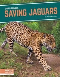 Saving Jaguars