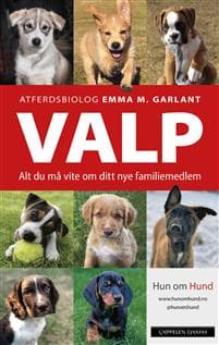 Valp: alt du må vite om ditt nye familiemedlem