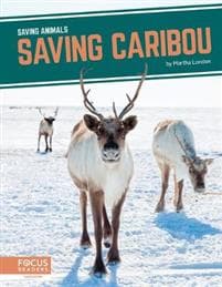 Saving Caribou