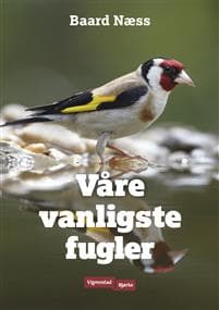 Våre vanligste fugler