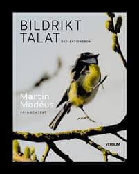 Bildrikt talat : reflektionsbok