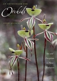 An Enthusiasm for Orchids