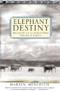 Elephant Destiny