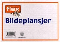 Flex engelsk. 9 bildeplansjer