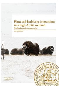 Plant-soil-herbivore interactions in a high Arctic wetland
