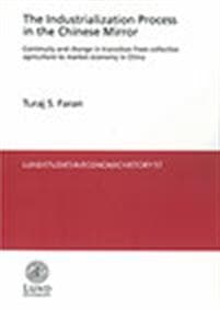 The Industrialization Process in the Chinese Mirror