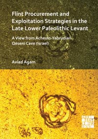 Flint Procurement and Exploitation Strategies in the Late Lower Paleolithic Levant