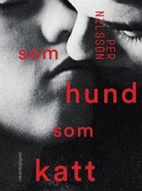 Som hund som katt