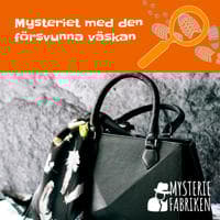 Mysteriet med den försvunna väskan
