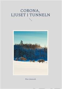 Corona, ljuset i tunneln