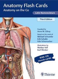 Anatomy Flash Cards, Latin Nomenclature Anne M Gilroy 9781684202225