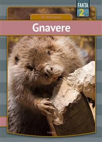 Gnavere