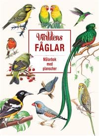 Världens fåglar : Målarbok med plancher