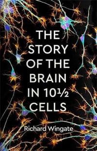 Story of the Brain in 10Â½ Cells