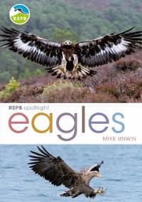 RSPB Spotlight Eagles