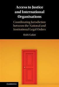 Access to Justice and International Organisations