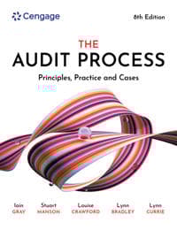 Audit Process