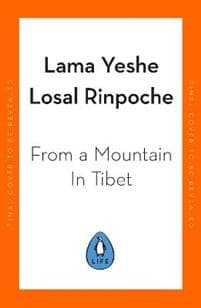 From a Mountain In Tibet