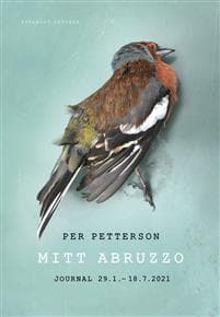 Mitt Abruzzo; journal 29.1. - 18.7. 2021