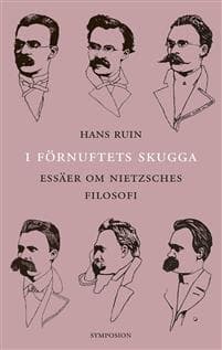 I förnuftets skugga : essäer om Nietzsches filosofi