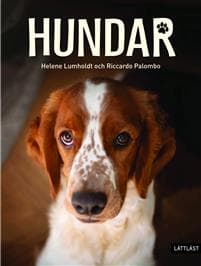 Hundar