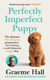 Perfectly Imperfect Puppy