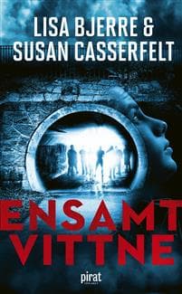 Ensamt vittne