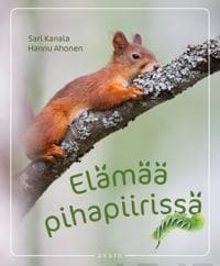 Elämää pihapiirissä