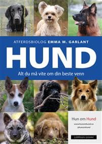 Hund: alt du må vite om din beste venn