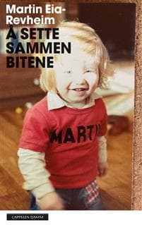 Å sette sammen bitene