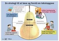 KonteXt+, Læsestrategi til tekstopgave