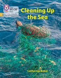 Cleaning up the Sea