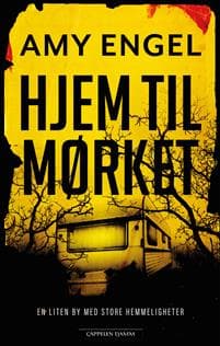 Hjem til mørket