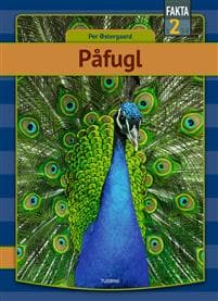 Påfugl